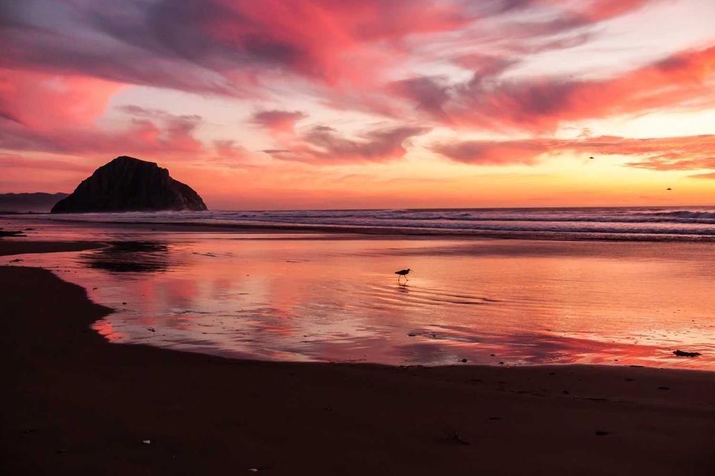 Laboriosam corporis a voluptatem